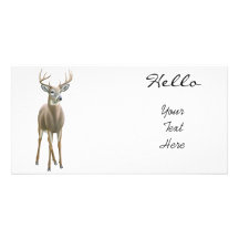 Whitetail Deer Buck Photo Card
