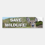 Whitetail Deer (Doe) Bumper Sticker