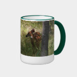 Whitetail Fawn mugs