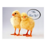 Who Loves Ya? Customisable  Postcard