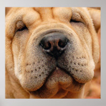 Who Me, Nosy? Posters