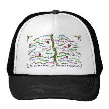 Who We Are in Christ Hat