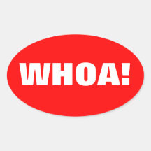 WHOA! OVAL STICKER