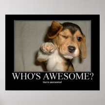 Who's Awsome? Posters