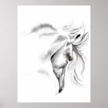 Whte Horse Head  Poster