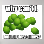 Why Can't I Hold All These Limes? Poster
