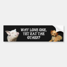 Why love one - Yet eat the other? Pig/Poodle Bumper Sticker