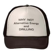 WHY  NOT Drilling and Alternative Energy Mesh Hats