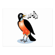Wide eyed Red Breasted Robin Singing Postcard
