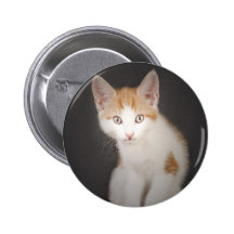 wide eyed warrior pin