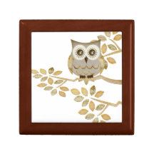 Wide Eyes Owl in Tree Gift Box