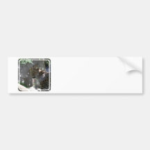 Wild Amur Leopard Bumper Sticker