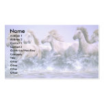 Wild and free, Camargue Horses Business Card