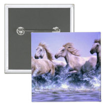 Wild and free, Camargue Horses Buttons