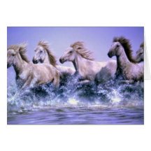 Wild and free, Camargue Horses Greeting Card