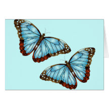 Wild Butterflies Card