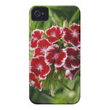 Wild Carnation iphone Case iPhone 4 Covers