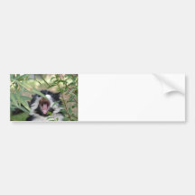 Wild Cat Roar Bumper Sticker