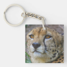 Wild Cheetah Keychain Acrylic Key Chains