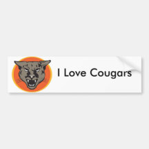 Wild Cougars from Junglewalk..com Bumper Sticker