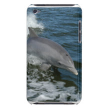 Wild Dolphin  iTouch Case iPod Case-Mate Case