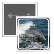 Wild Dolphin Square Pin
