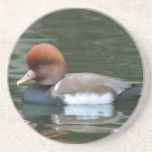 Wild Duck Coaster