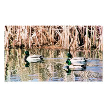WILD DUCKS BUSINESS CARDS