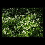 Wild Garlic business cards