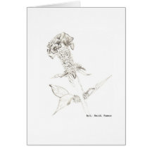 Wild Greeting Card