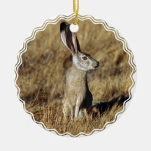 Wild Hare Ornament