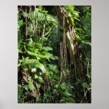 Wild Hawaiian Philodendrons Poster
