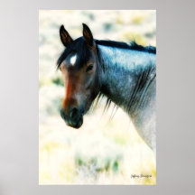 Wild horse, print