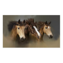 Wild Horse Trio Business Card