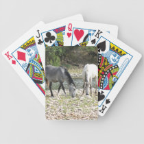 Wild Horses of the Sonoran Desert playing cards