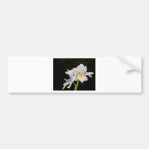 Wild Iris Bumper Sticker