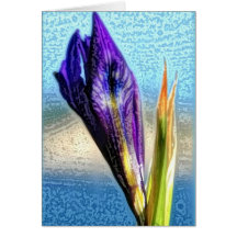 Wild Iris Greeting Card