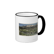 Wild Iris Growing Near Mt. Mammoth Mugs