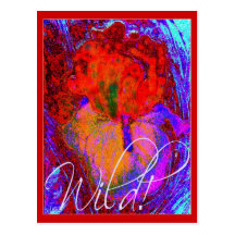 WILD IRIS POSTCARD
