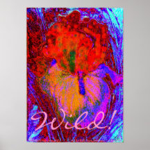 WILD! IRIS POSTER