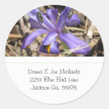 Wild Iris with Popper Bugs Address Stickers