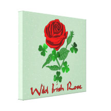 Wild Irish Rose Canvas Print