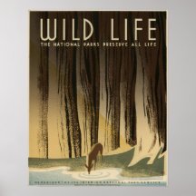 Wild life The national parks preserve all life Posters
