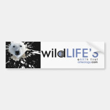 wild lifes polar bear bumper sticker