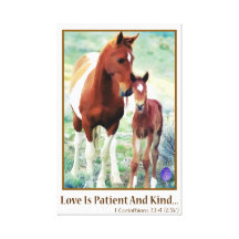 Wild Mare and Foal Gallery Wrapped Canvas