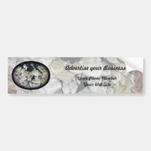 Wild Mushrooms on Decomposing Tree Bumper Stickers