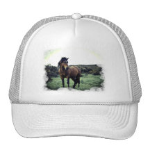 Wild Mustang Baseball Hat