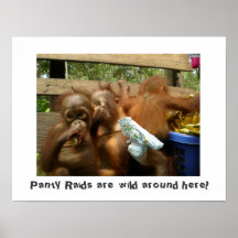Wild Panty Raids Posters