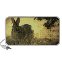 Wild Rabbit Speakers