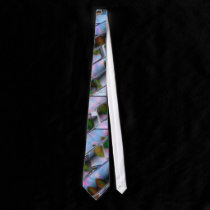 Wild Ride Series Tie ties